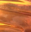ģ